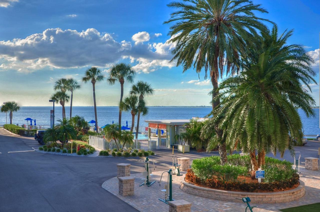 202-Pool, Wifi, Close To Bucs Stadium Tampa Exterior foto